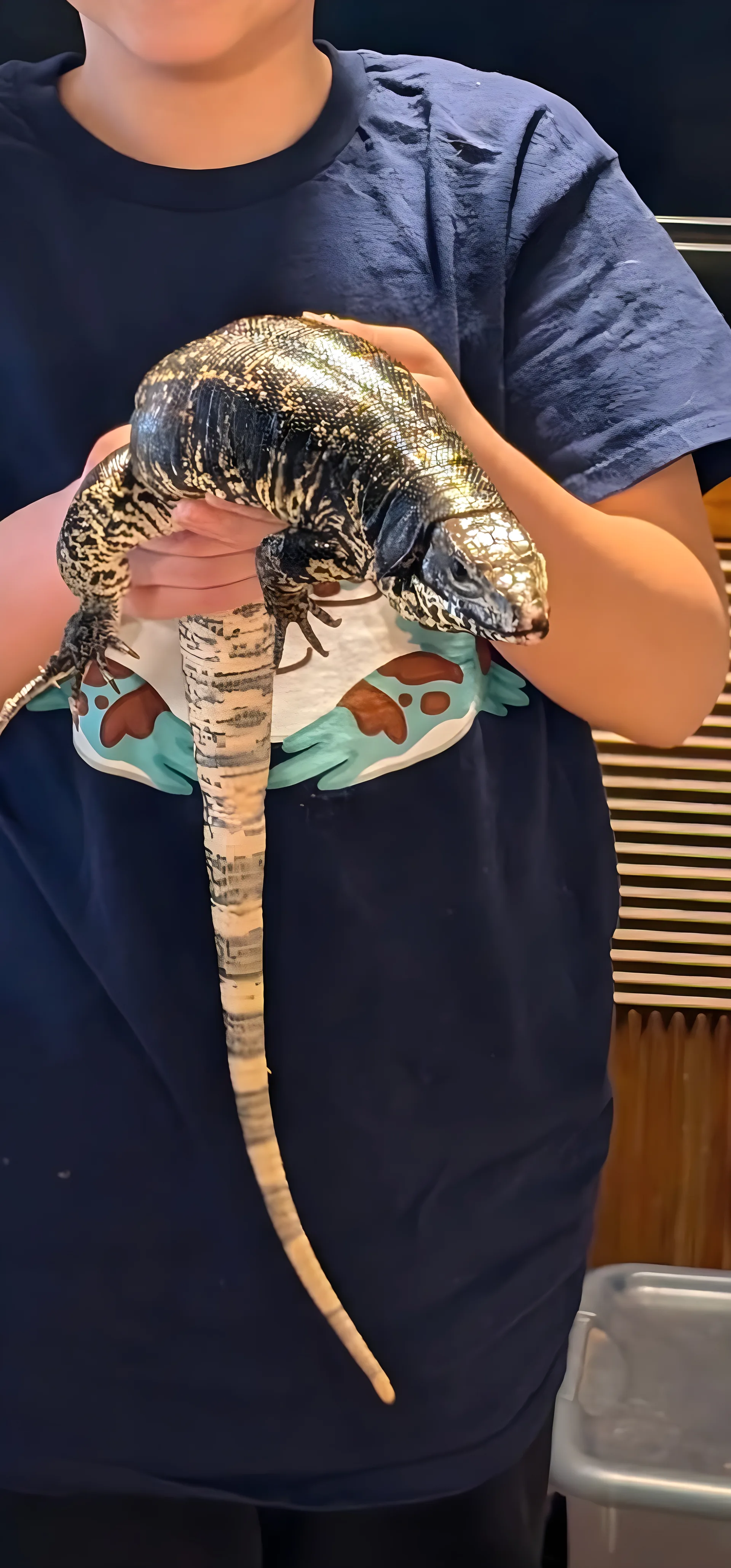 A child holding Godzilla, a large black-and-white tegu
