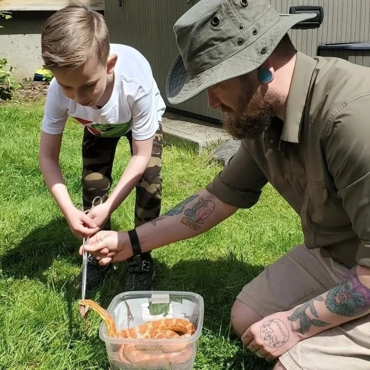 Presenter guiding a snake feeding demonstration with a child
