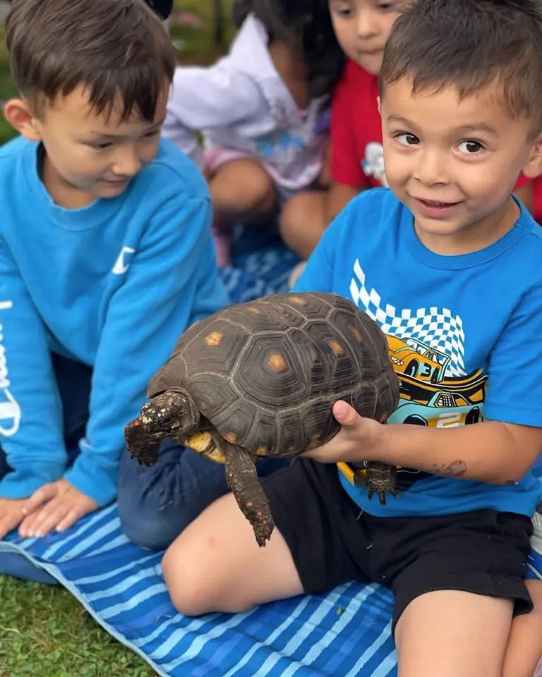 Children meeting a tortoise