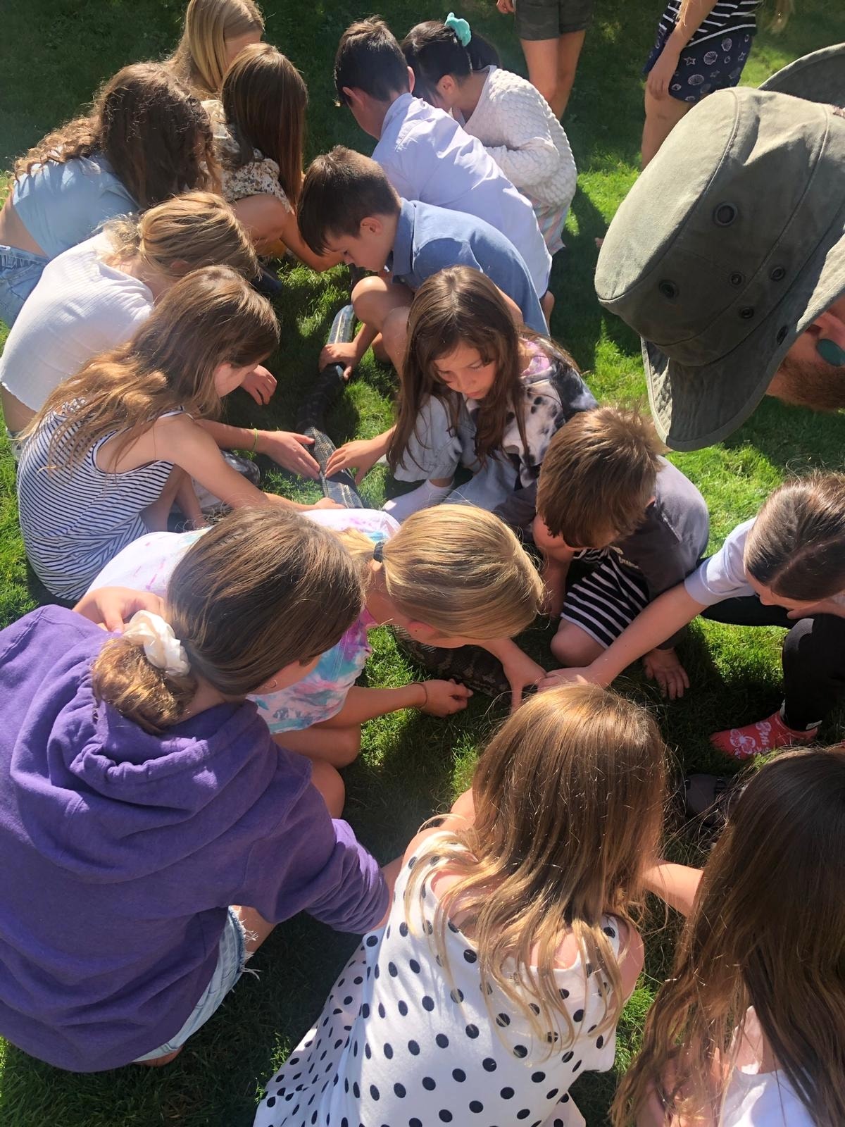 Children clustered around an outdoor demonstration