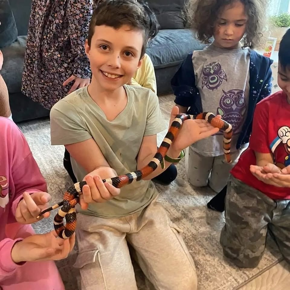 A child confidently holding a banded snake during a Wild Encounter